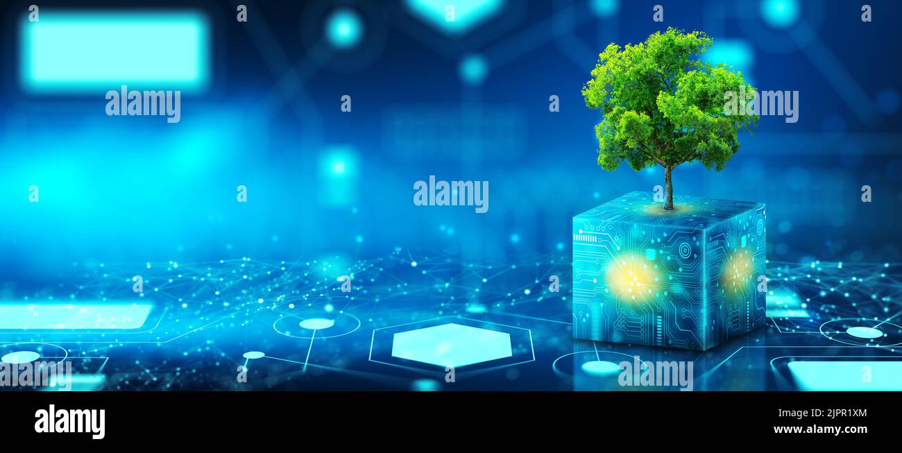 Tree growing on Circuit Digital Cube. Digital and Technology ...