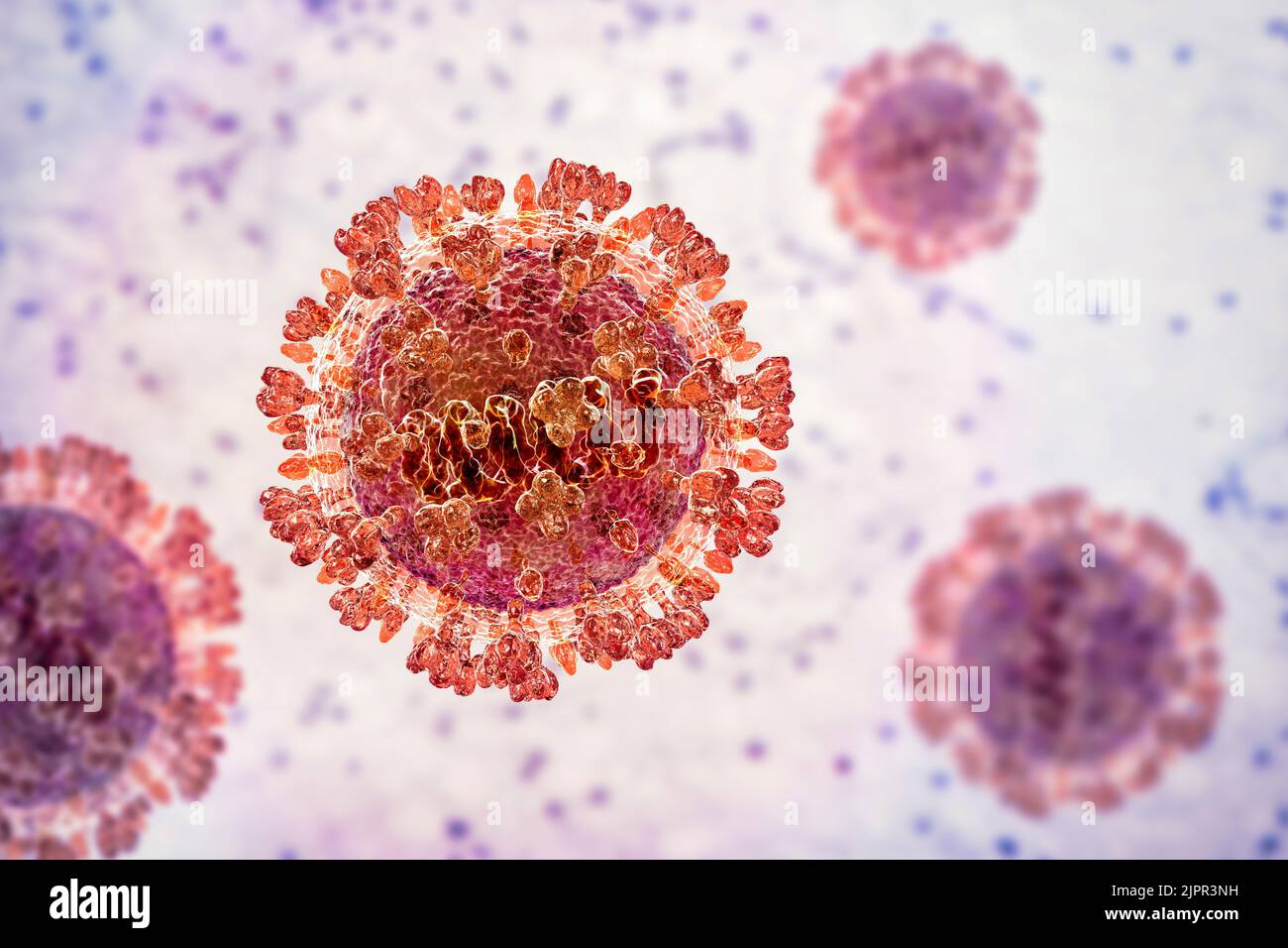 Langya viruses, illustration Stock Photo