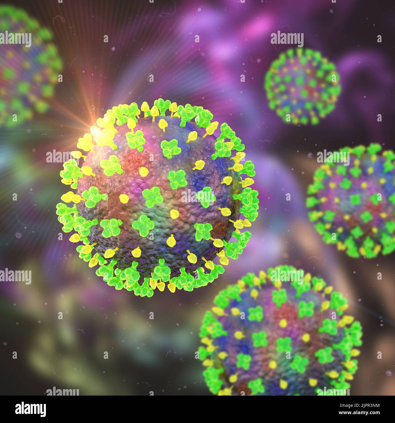 Langya viruses, illustration Stock Photo
