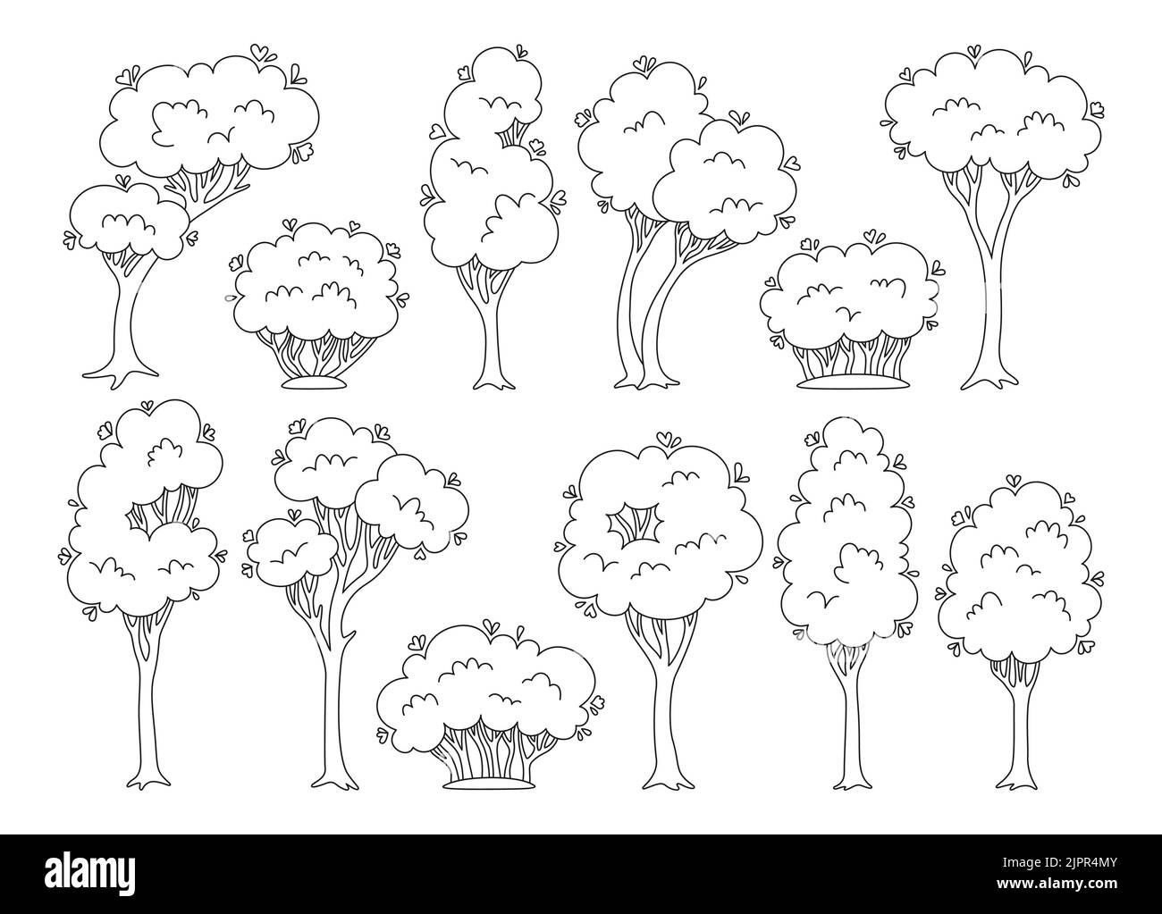 Deciduous and evergreen forest tree line Cut Out Stock Images ...