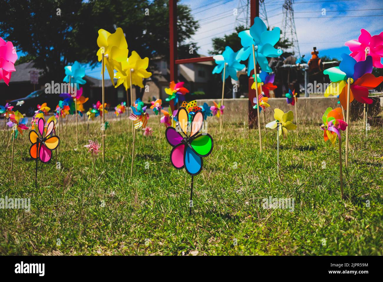 Pinwheel Inlawn A bunch of colorful pinwheels on a grassy lawn Stock Photo - Alamy