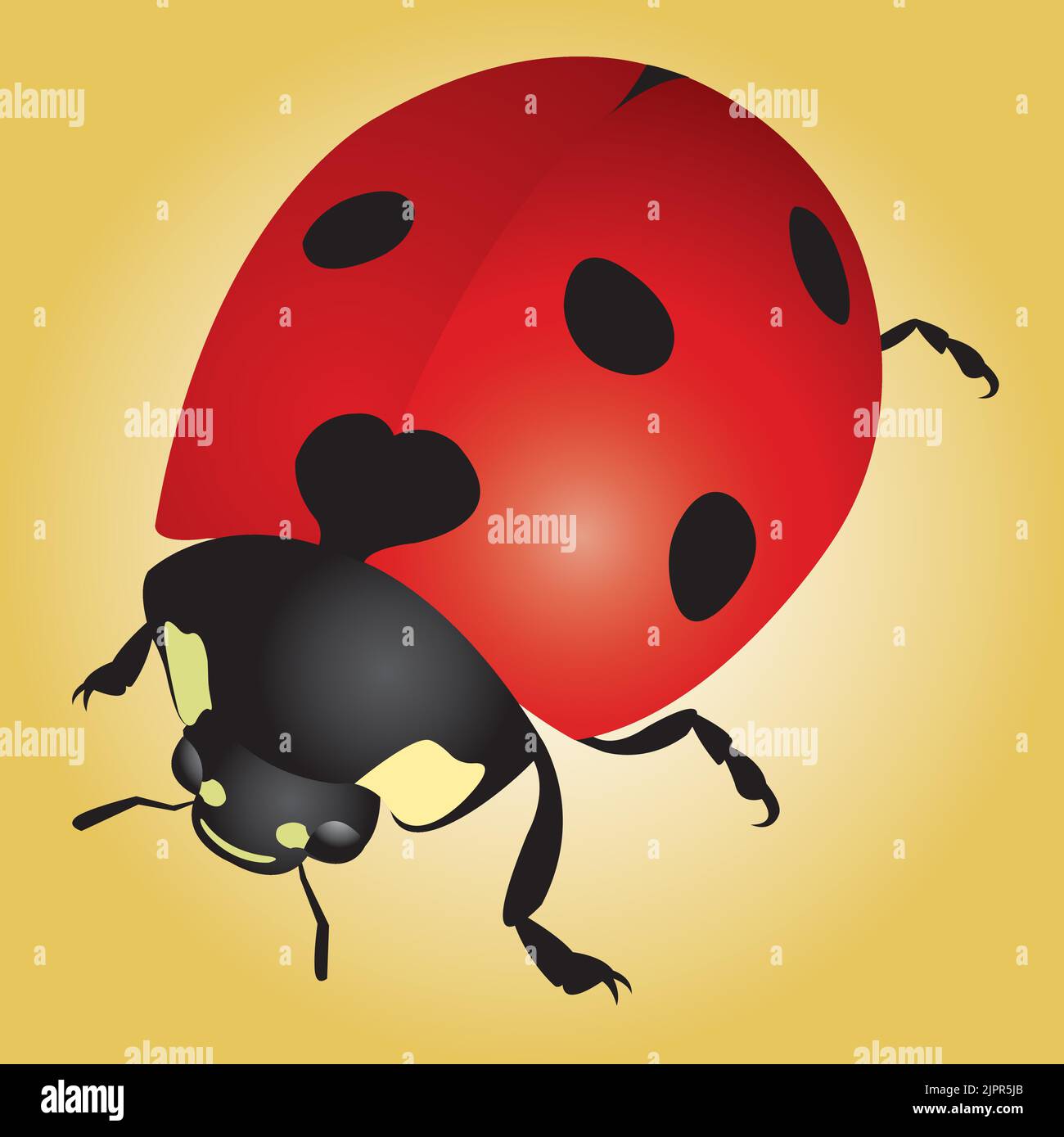 A vector graphic illustration of a red spotted ladybug. Stock Vector