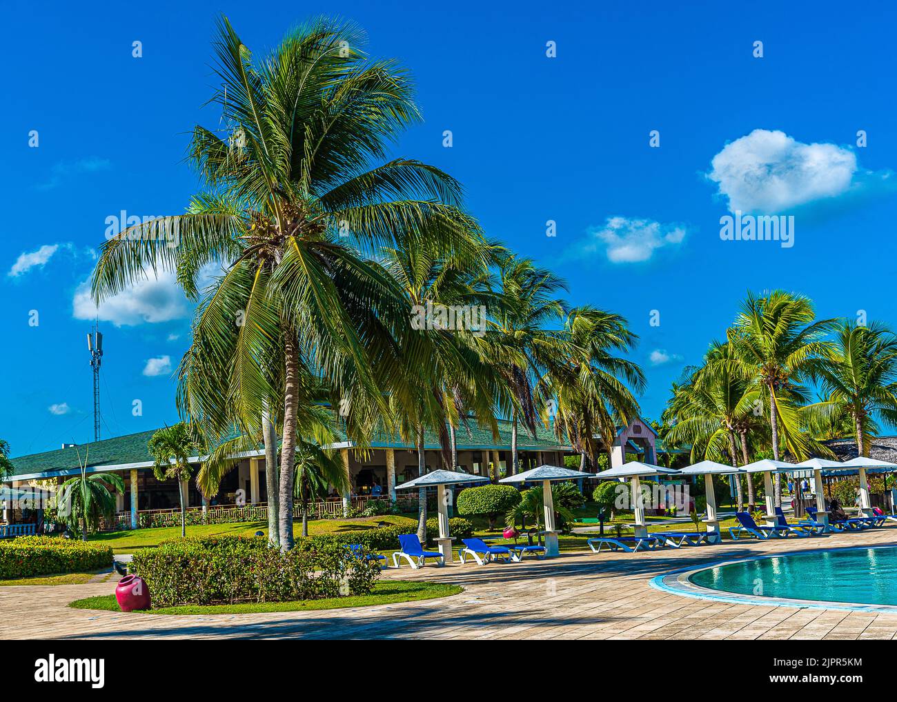 Holidays in one of the resorts near Holguin, Cuba, with a beautiful sandy beach surrounded by palm trees and warm ocean waves. Stock Photo