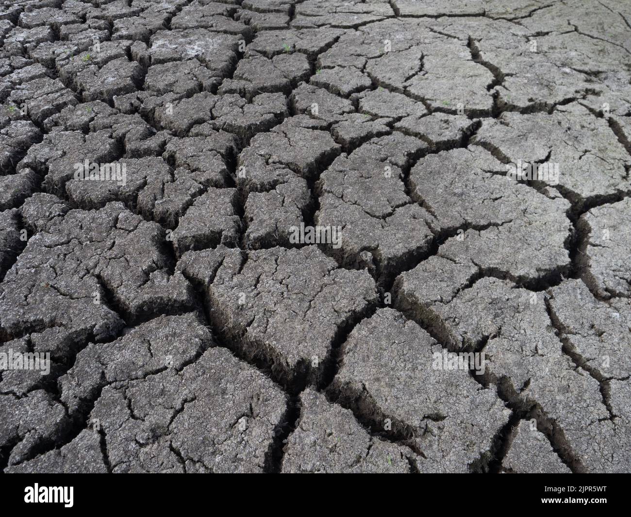 Deep clefts in parched, dried lake bed photographed from a low angle. Stock Photo