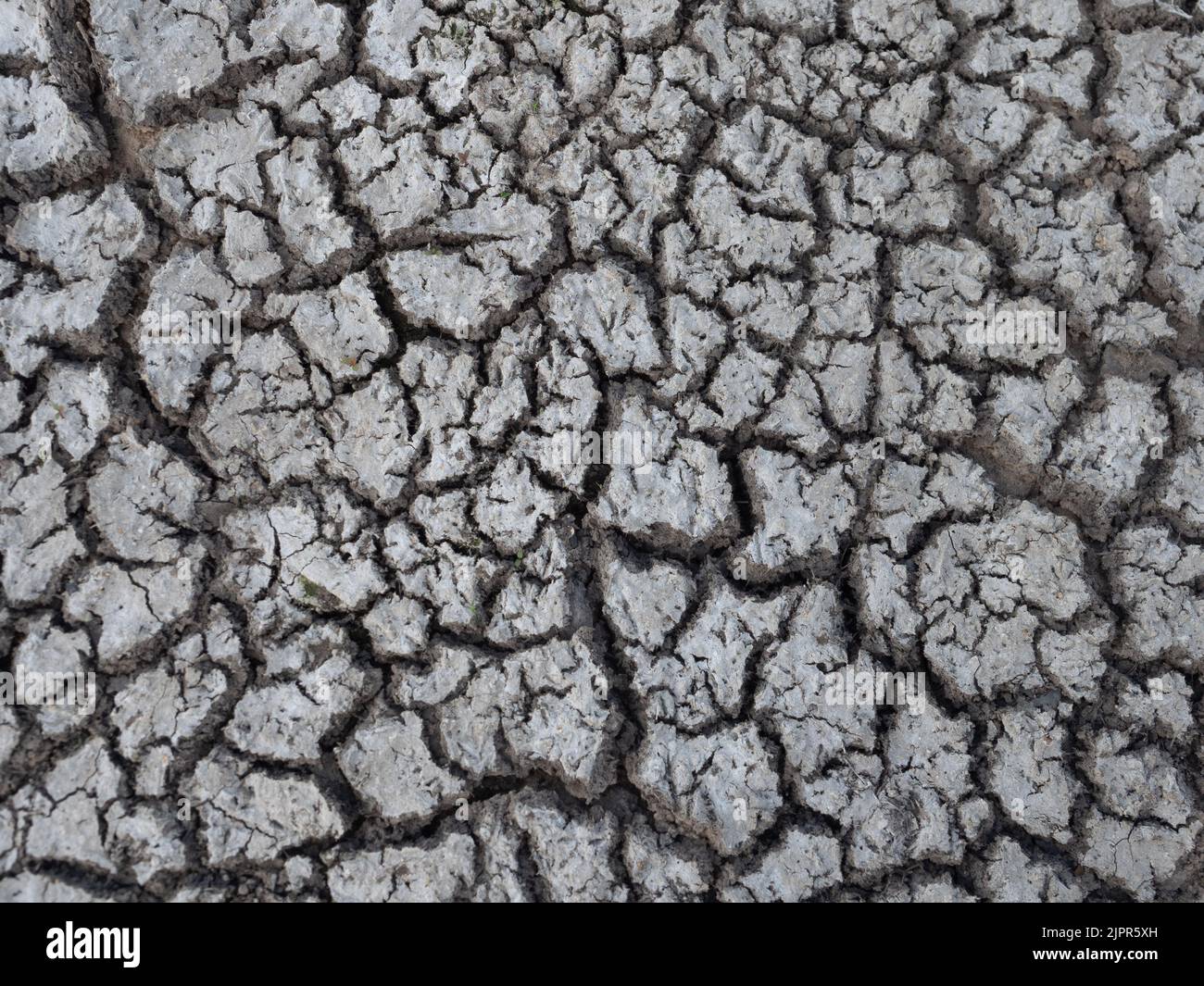 Dry, cracked earth with photographed from above at Bear Branch Reservoir in Spring, Texas. Stock Photo