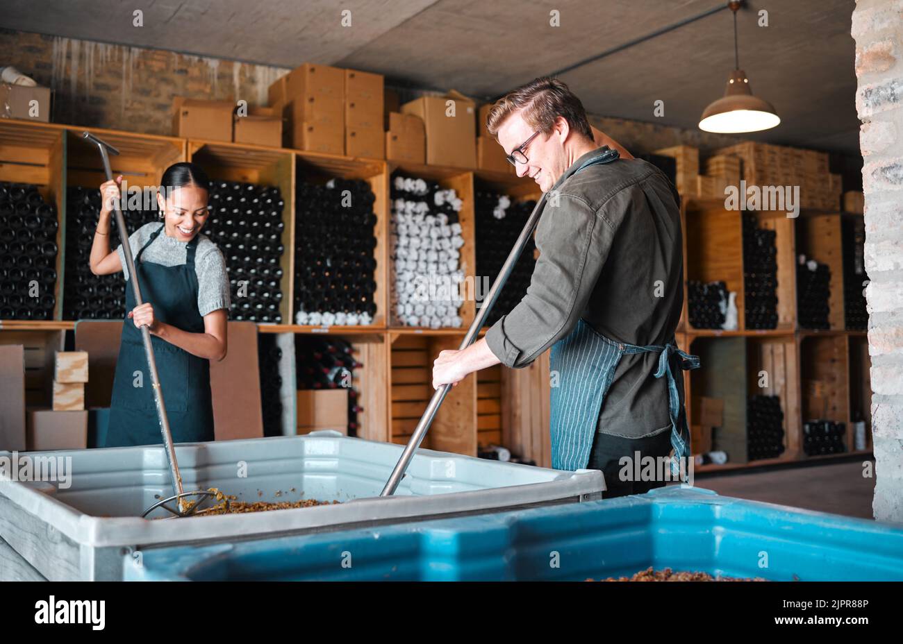 Winemaker workers in the process of making wine with a wine press tool