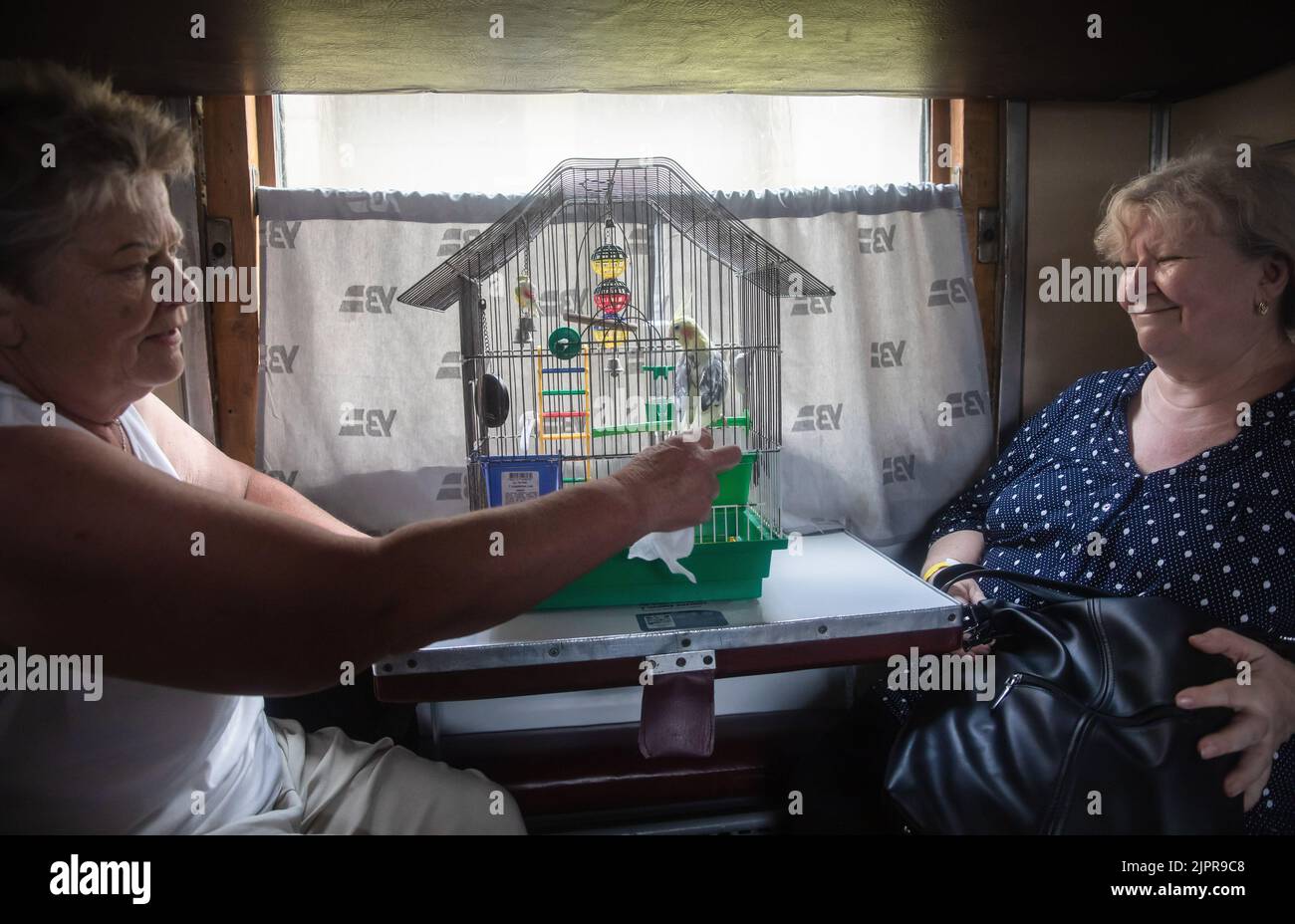 Paroros Train Two elderly women with a cage full of parrots are seen in a train ...