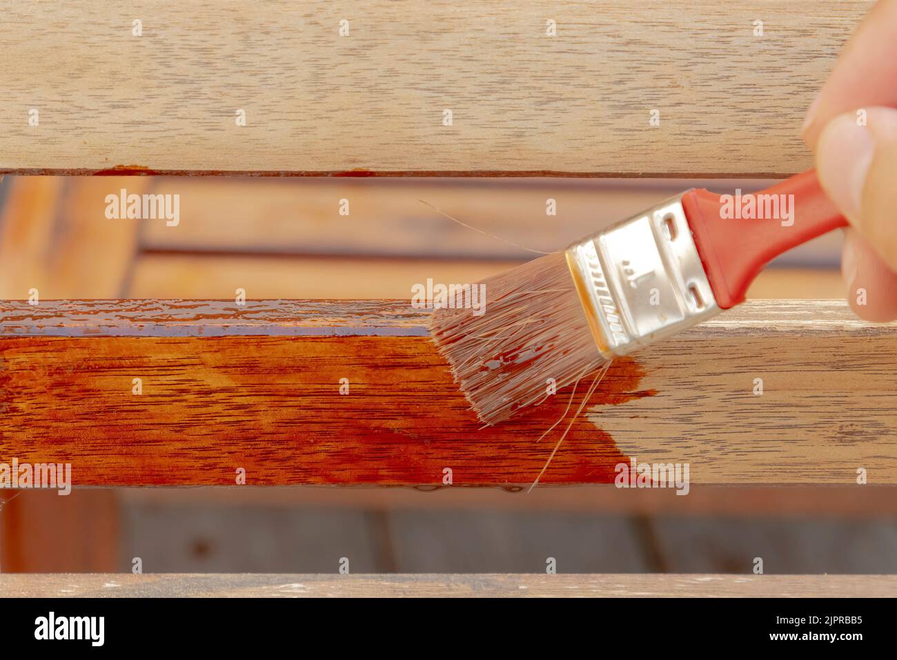A wooden surface getting a red wood coating transparent penetrating oil. Stock Photo