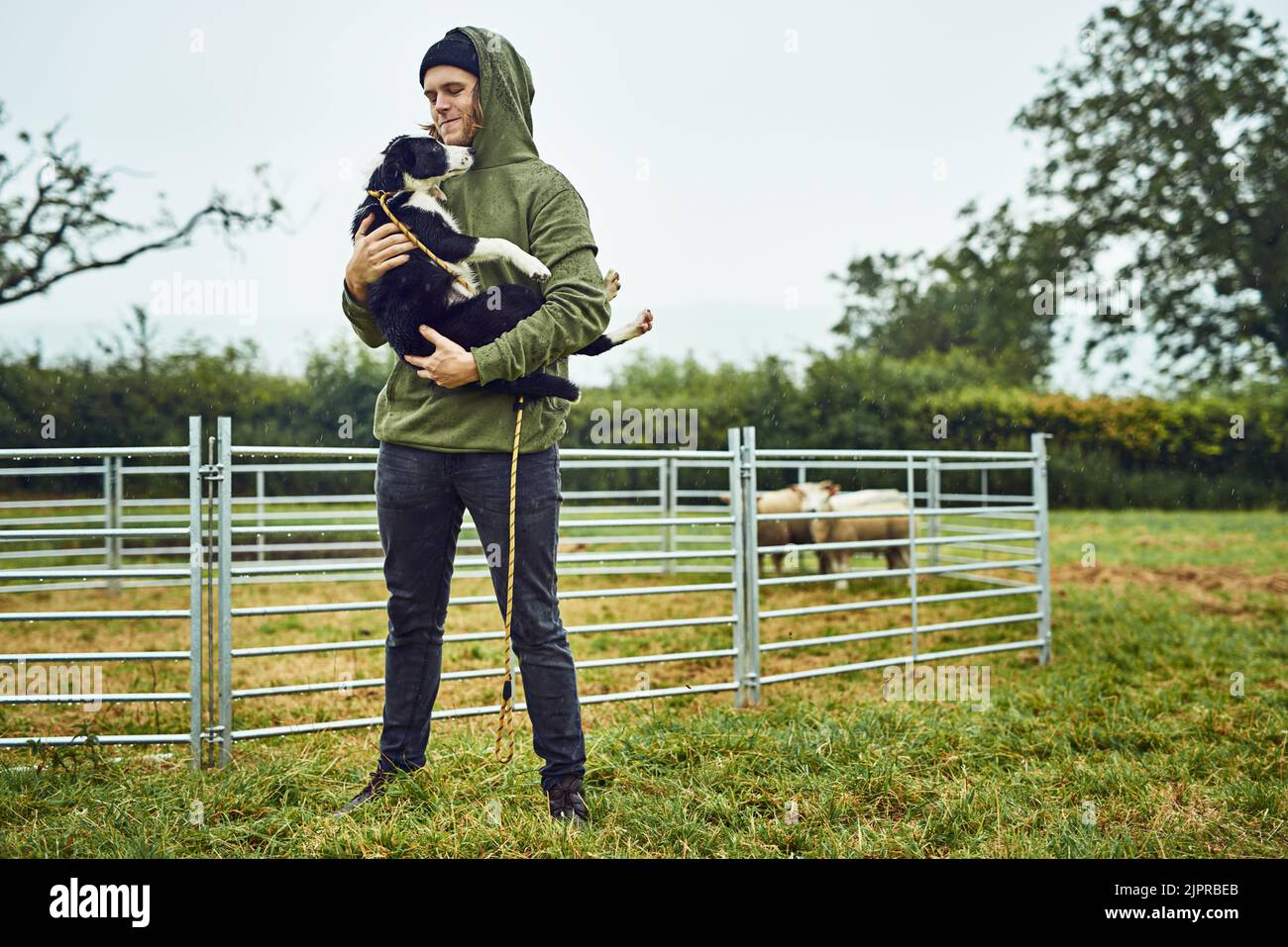 Thats my boy. a cheerful young farmer holding his young little sheepdog puppy in his arms outside during the day. Stock Photo