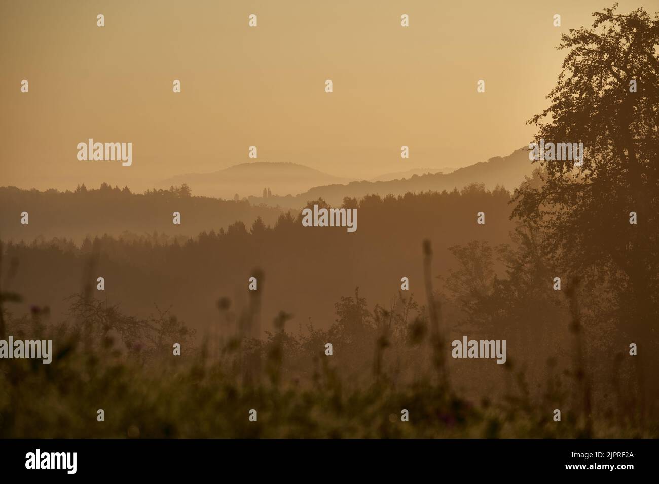 Pastel colored landscape in autumn. Mountains and forests in different