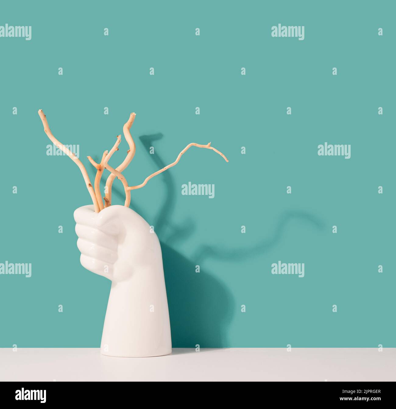 White fist holding dry branches against minty background. Environment, pollution minimal concept. Stock Photo