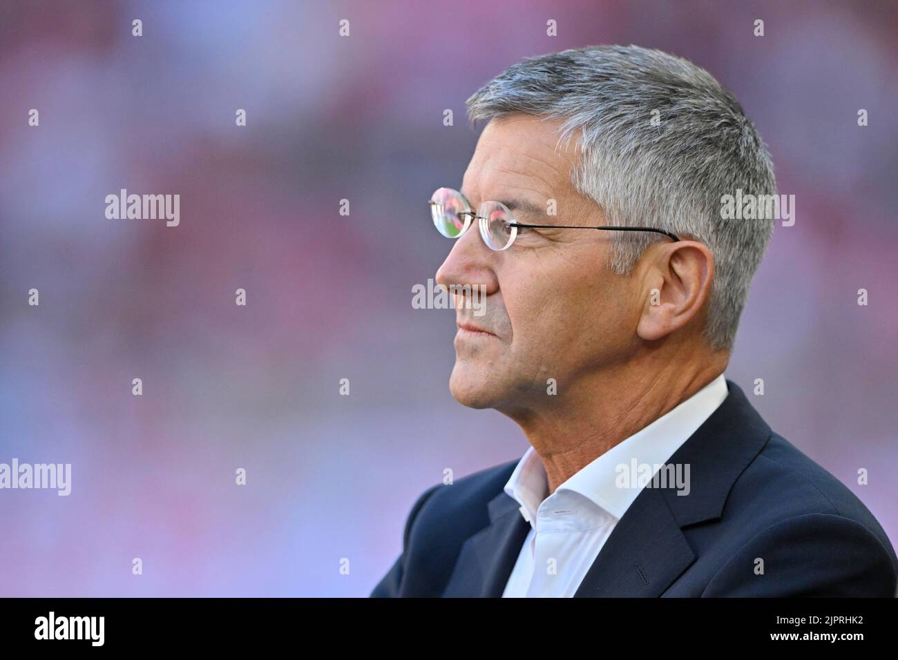 Herbert Hainer President and Chairman of the Supervisory Board FC Bayern Munich FCB, Allianz Arena, Munich, Bavaria, Germany Stock Photo