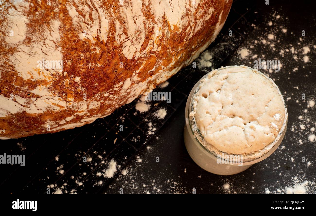 Loaf of artisan wheat and rye bread with graham flour. Sourdough