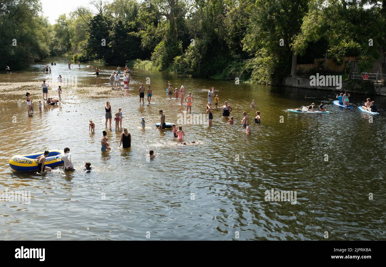 People enjoying the low water of the RIiver Avon at Fordingbridge  Hampshire during a Summer heat wave and drought Stock Photo