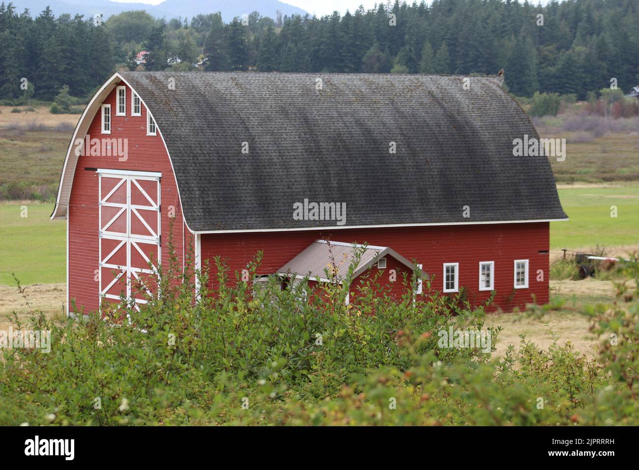 Guemes island hires stock photography and images Alamy