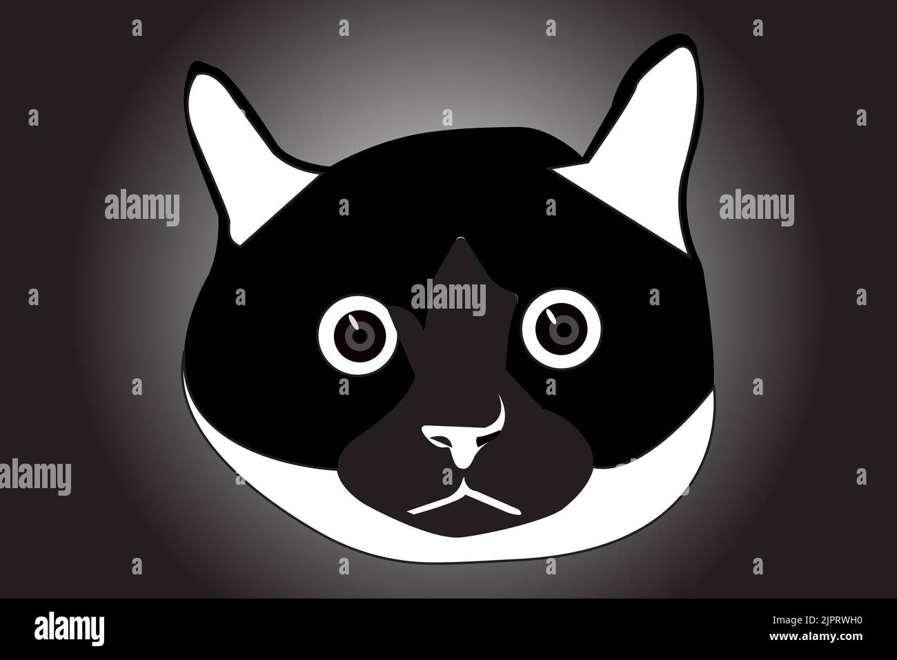 A digital illustration of a funny cute black and white cat face Stock