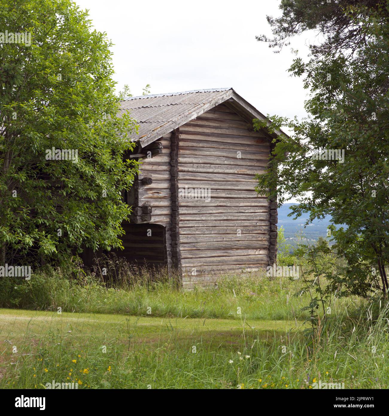 Wooden barns, log, and timber buildings in the farmland. Agriculture in