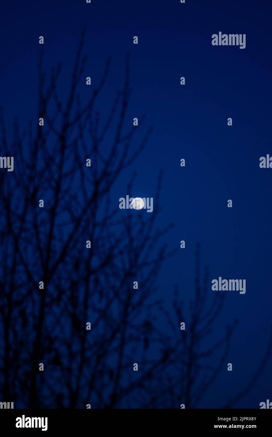 Fool moon at night, silence, blue sky Stock Photo