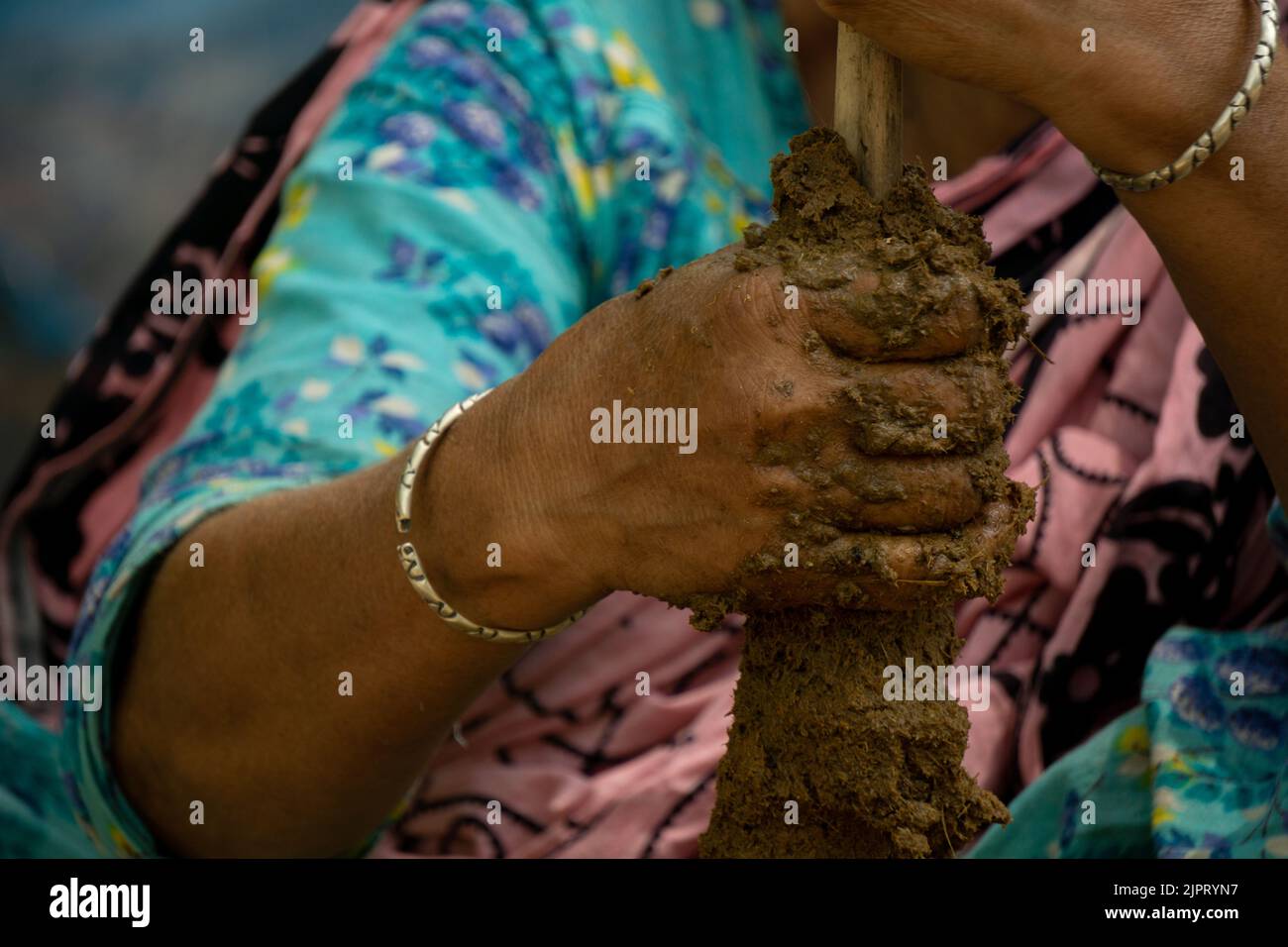 Stick of cow dung hi-res stock photography and images - Alamy