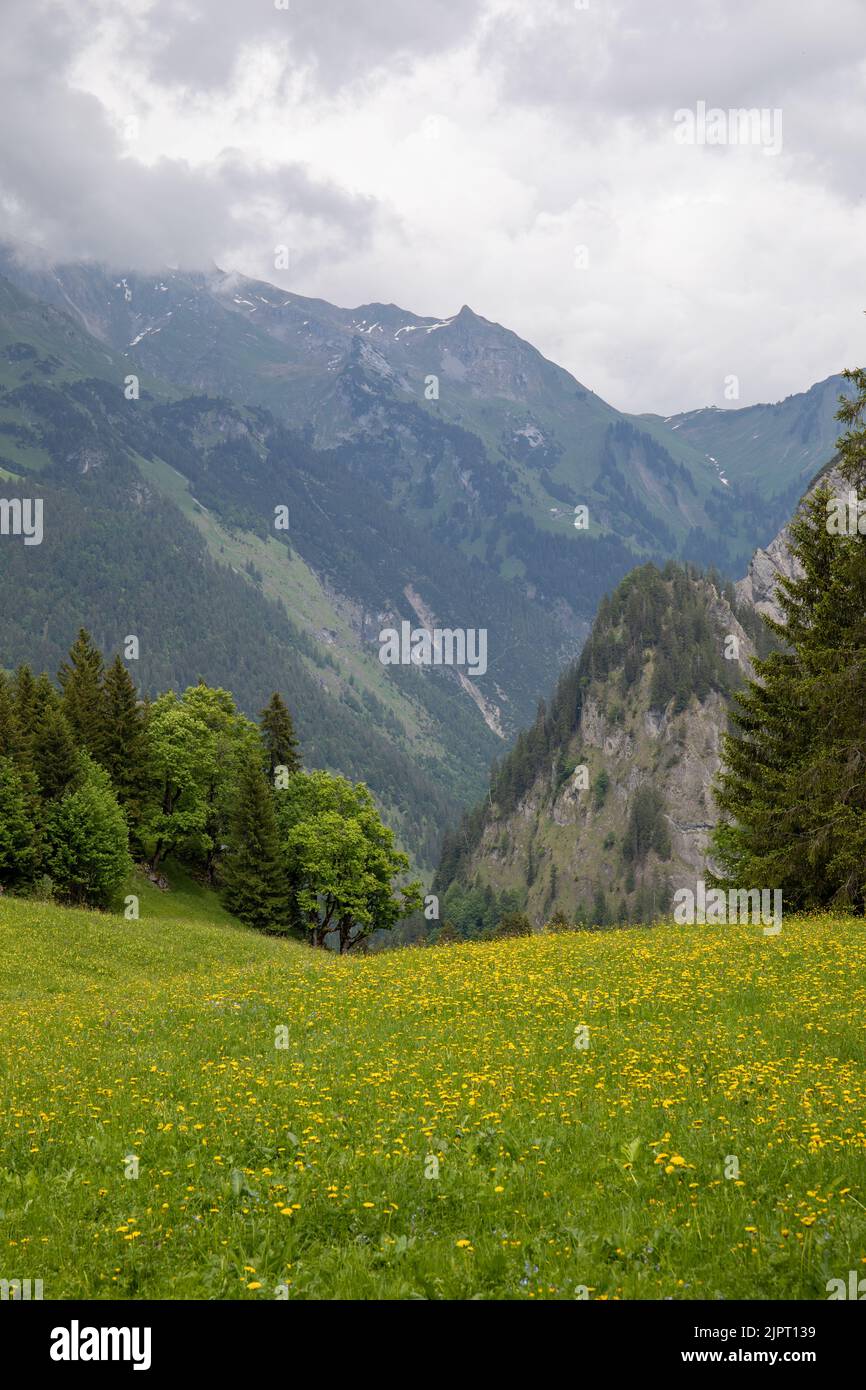 A vertical shot of natural scenery with high mountains and trees from a ...