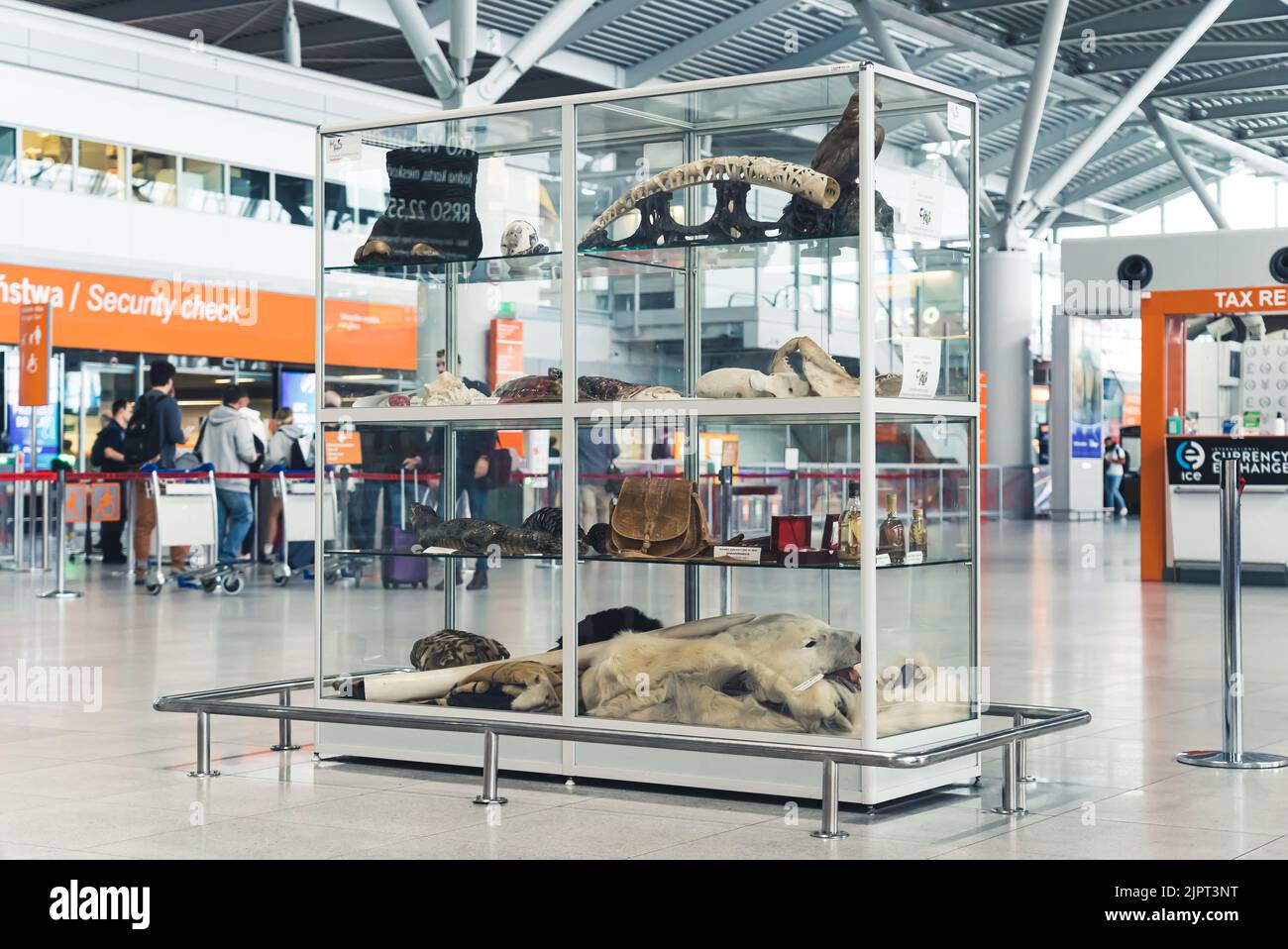 07.13.2022 Warsaw, Poland. Smuggling concept. Wild findings of customs officers standing in a transparent showcase nearby security check at the Warsaw Chopin Airport. High quality photo Stock Photo