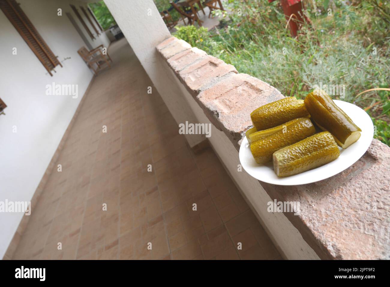 Hungarian fermented cucumbers on a plate on the wall of a traditional peasant house, Hungary Stock Photo