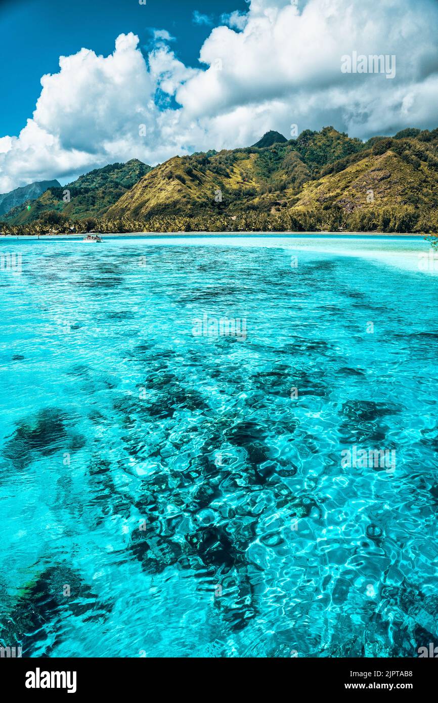 Moorea Background Beautiful vertical shot of tropical island of Moorea in Pacific Ocean ...