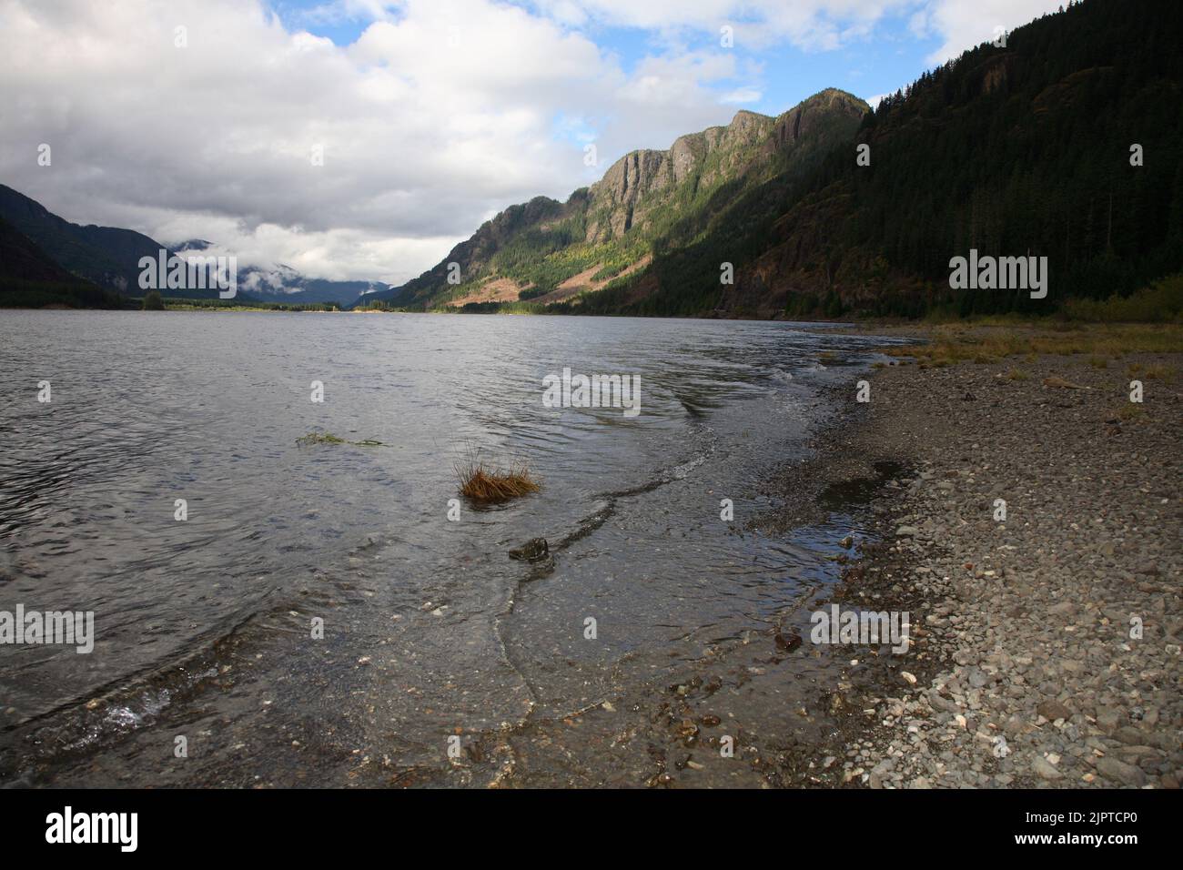 Vancouver Island Strathcona Provincial Park Buttle Lake Kanada / Vancouver Island