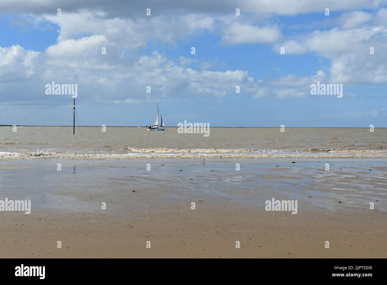 Burnham On Sea, UK. 20th Aug, 2022. On a warm and overcast afternoon warning signs and one saying NO Swimming due to poor water conditionds. Picture Credit: Robert Timoney/Alamy Live News Stock Photo
