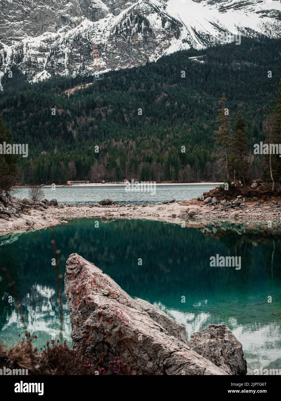 A vertical shot of pine trees in a dense forest with clouds and ...