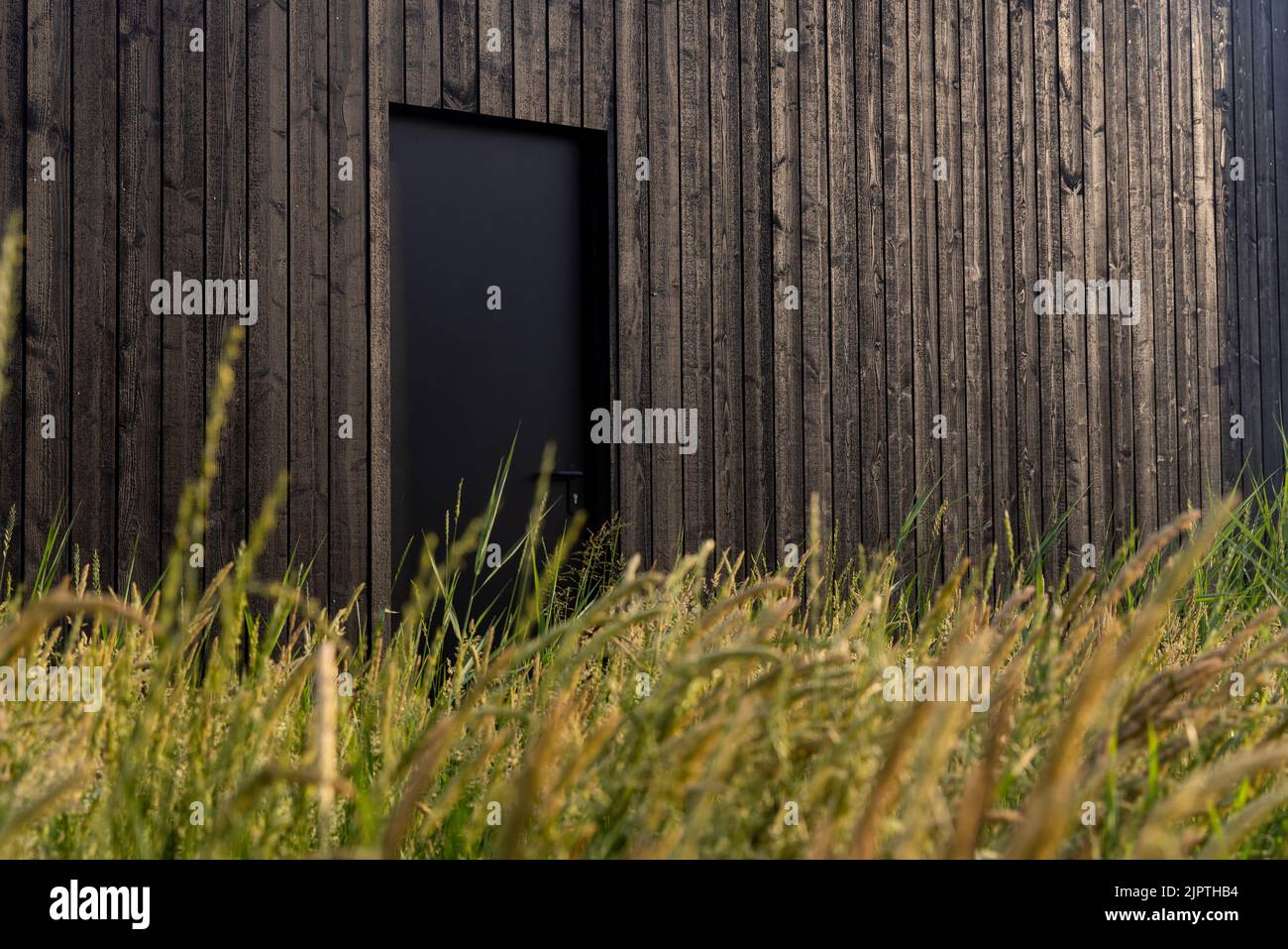 Black wooden house with black door, soft green grass and sedges. Plain Nordic or Scandinavian architecture, wooden wall texture, background Stock Photo