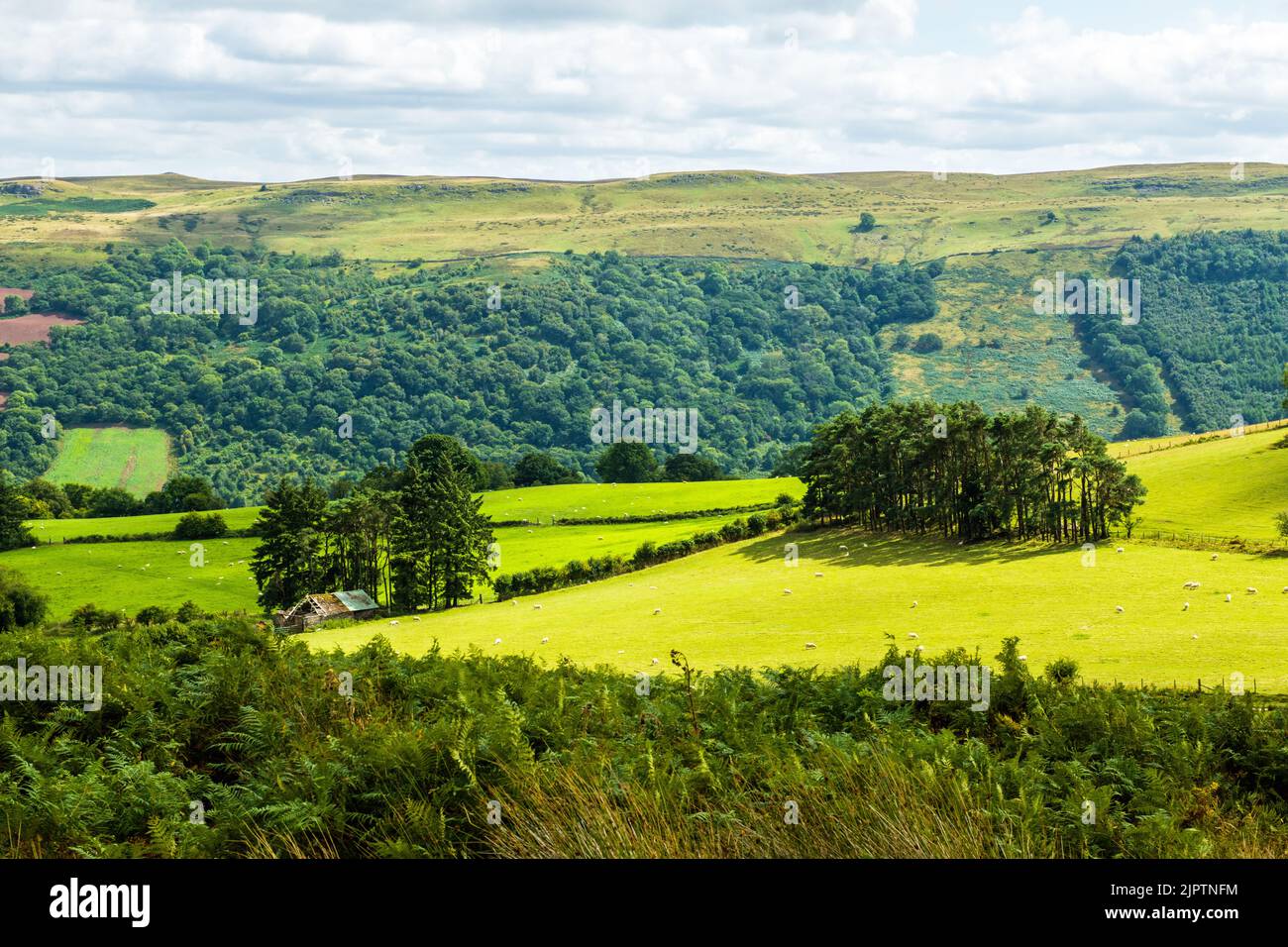 The stunning view across from Bwlch y Waun and over Duffryn Crawnon valley to the hills on the other side. Stock Photo