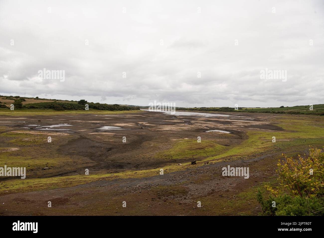 Stithians, Cornwall, UK. 20th Aug 2022. Cornwall drought bans hose pipes on 23 August. Stithians Reservoir is a reservoir situated just under a mile to the west of the village of Stithians, Cornwall, England, UK. According to South West Water, the level of the reservoir on 10 July was 57% of its capacity. Credit: kathleen white/Alamy Live News Stock Photo