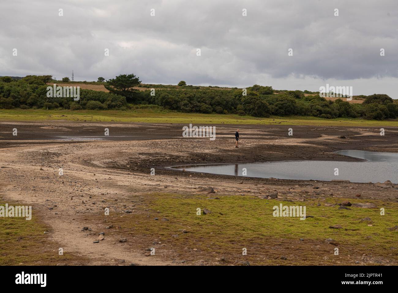 Stithians, Cornwall, UK. 20th Aug 2022. Cornwall drought bans hose pipes on 23 August, South West Water, the level of the reservoir on 10 July was 57% of its capacity Credit: kathleen white/Alamy Live News Stock Photo