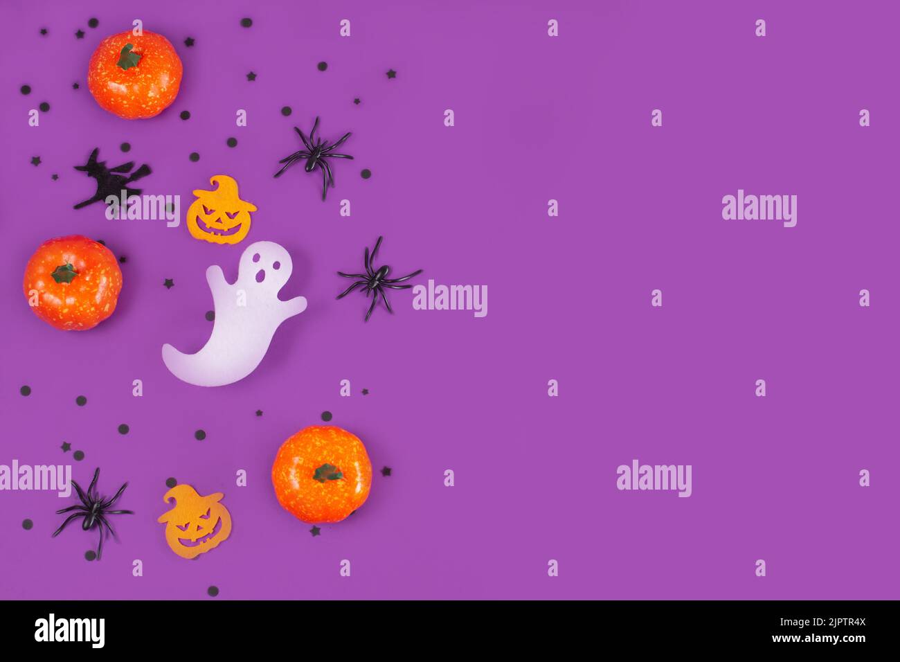 Halloween decorations pumpkins spiders with black confetti on violet ...
