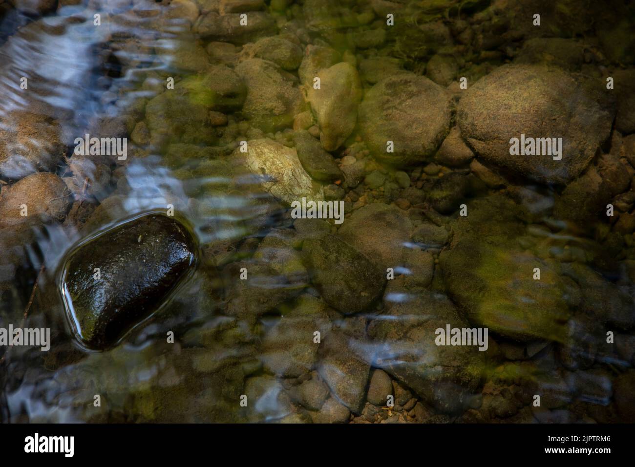 The Eel River flows through Humboldt County in Northern California