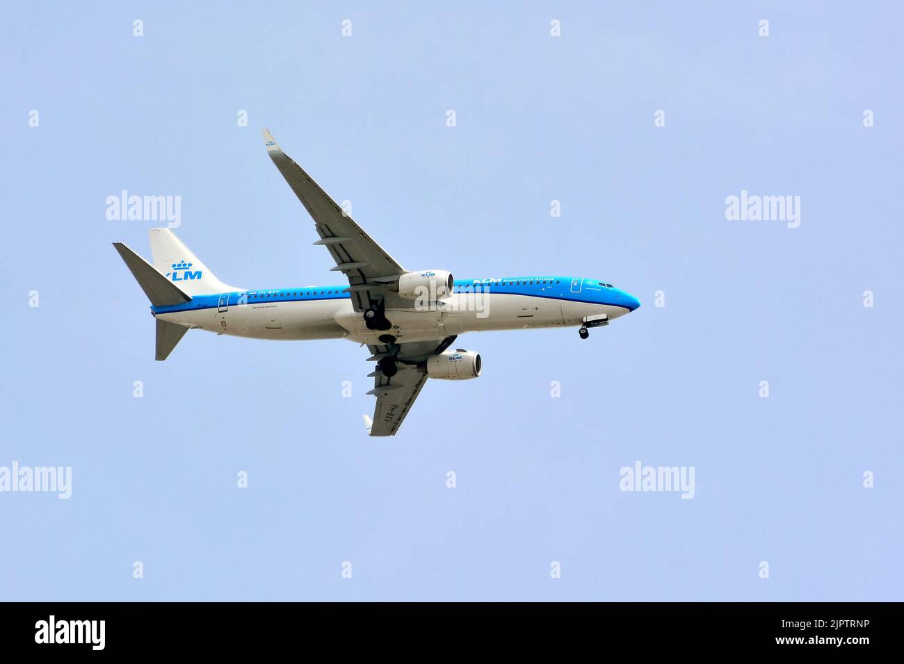 KLM Royal Dutch Airlines (is the flag carrier airline of the Netherlands), Boeing 737800