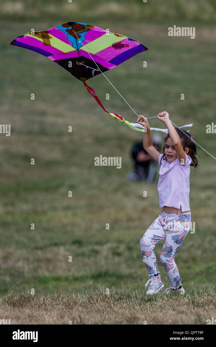 London, UK. 20th Aug, 2022. Flying the kites on Parliament Hill Fly