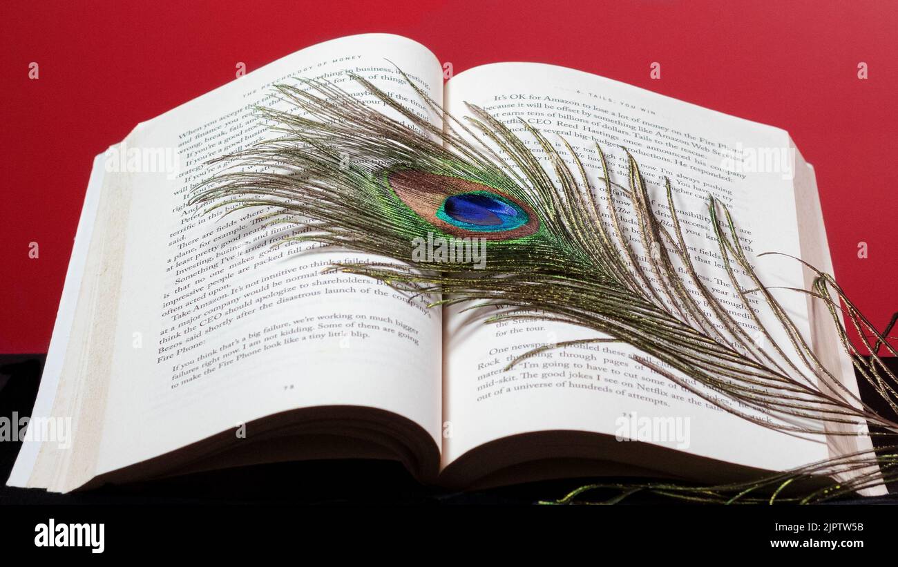 Peacock Feather and book beautiful hi-res stock photography and image Stock Photo