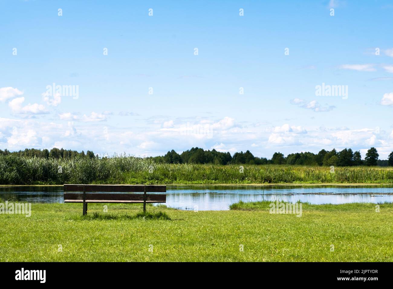 Bench by the river bank with scenic view on green summer idyll nature. Rural landscape with bench. Stock Photo