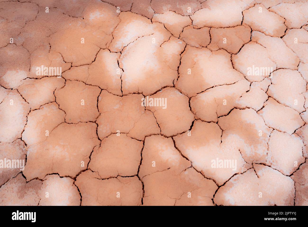 Cracked ground, Anderson Bottom, Canyonlands National Park, Utah. Stock Photo