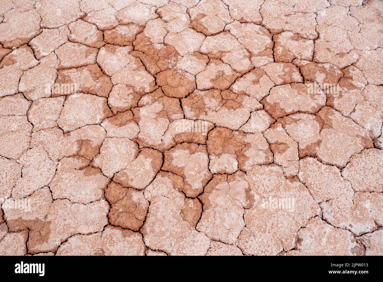 Cracked ground, Anderson Bottom, Canyonlands National Park, Utah. Stock Photo