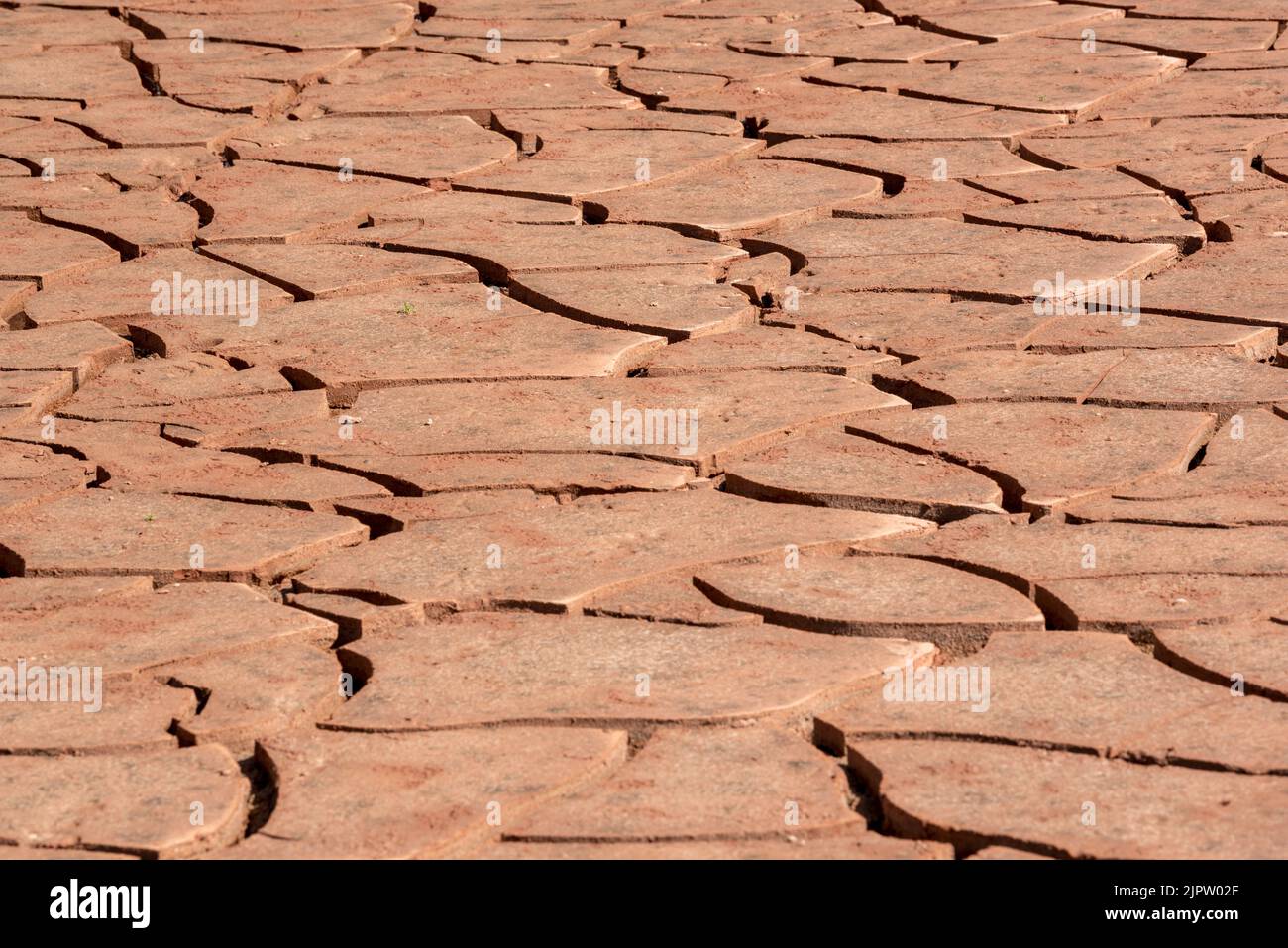 Cracks in drying silt along the Green River in Canyonlands National Park, Utah. Stock Photo
