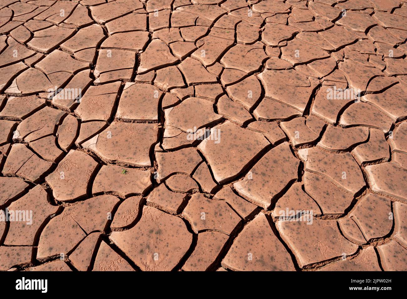 Cracks in drying silt along the Green River in Canyonlands National Park, Utah. Stock Photo