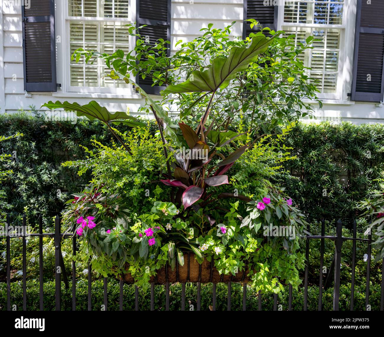 A large planter on the side of a house in Charleston, South Carolina Stock Photo
