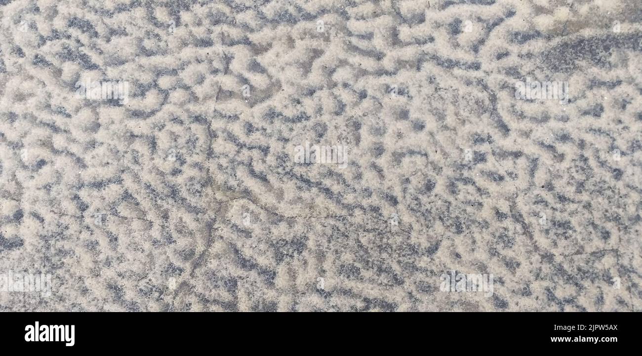 abstract winter background: frost patterns on the ground Stock Photo