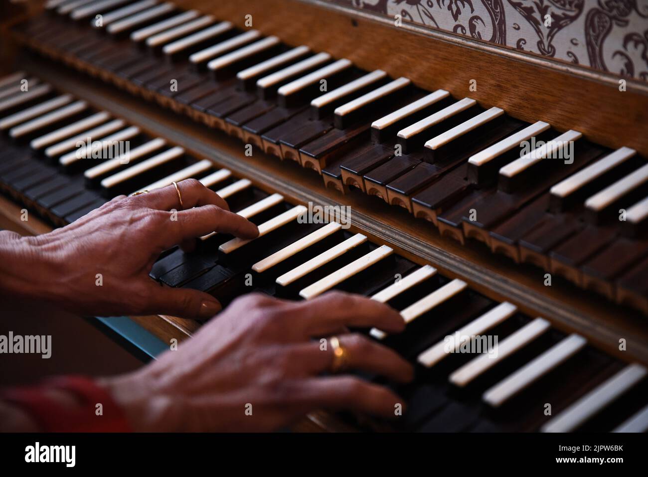 Mature Female Hands Playing Harpsichord aka Cembalo Musical Instrument Stock Photo