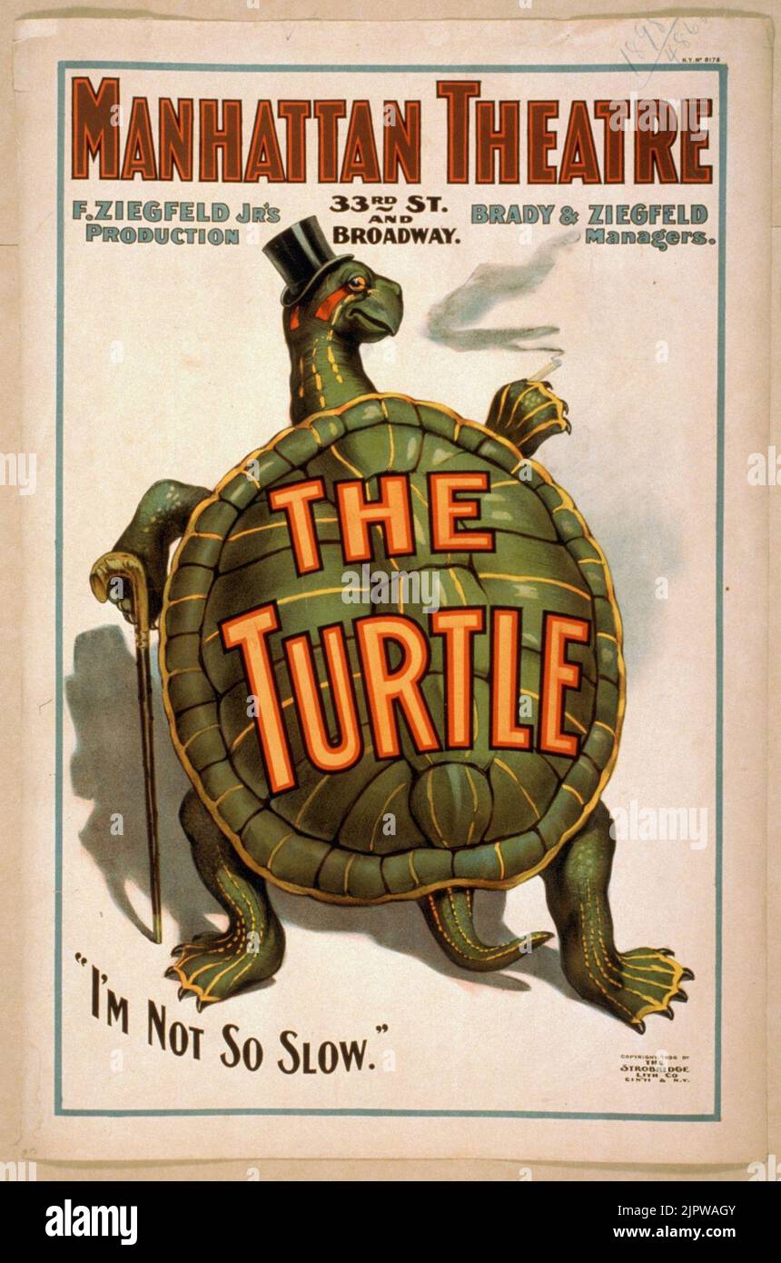 Turtle Schmidt The turtle F. Ziegfeld Jr's production Stock Photo - Alamy