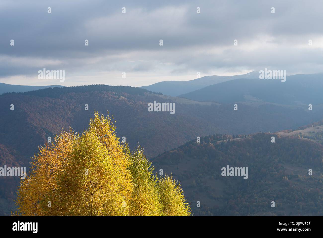 Contrasting autumn background with copy space Stock Photo - Alamy