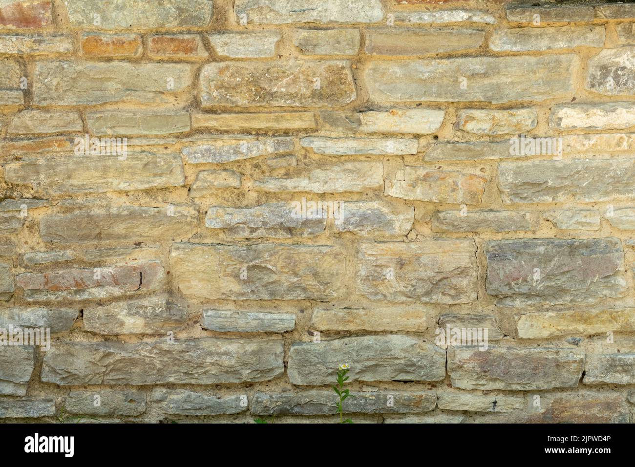 Old gray stone wall. Stone background from gray old stones. Stock Photo